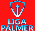 Liga Palmer